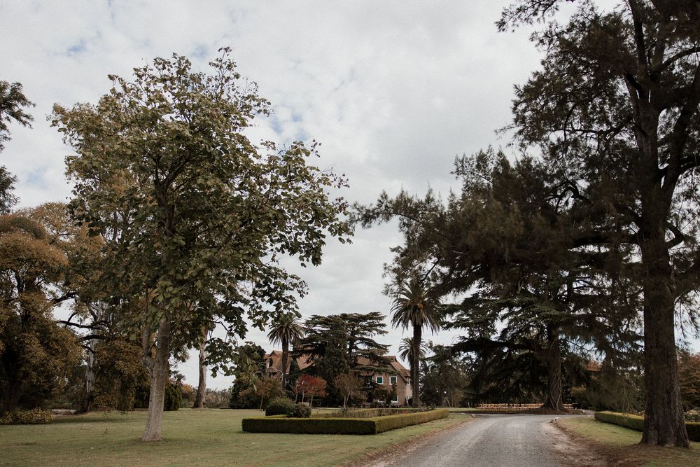 A tree-lined gravel driveway leading to a historic country manor house surrounded by lush green lawns.