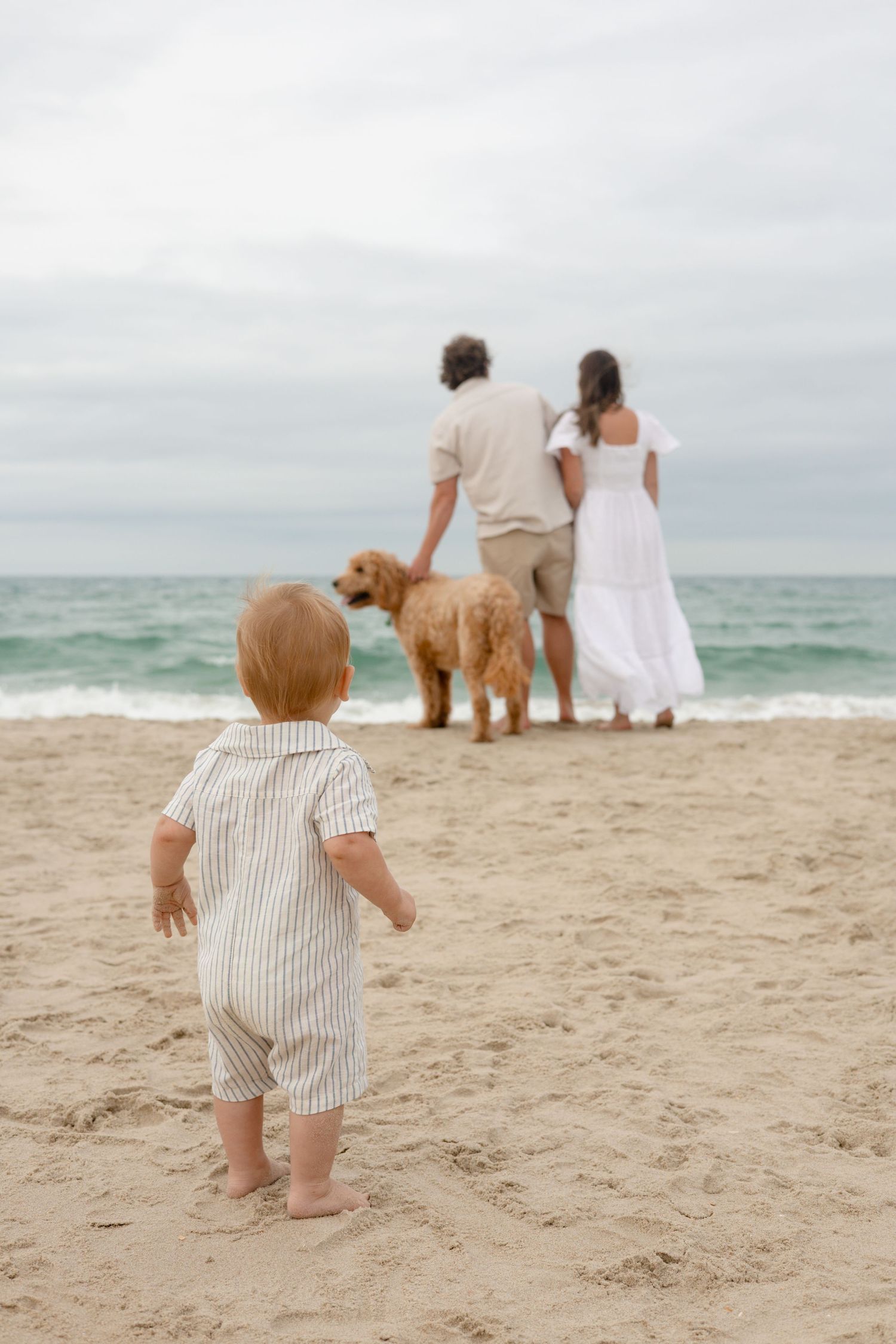 A toddler stands on sandy beach watching parents and golden retriever dog near ocean waves.