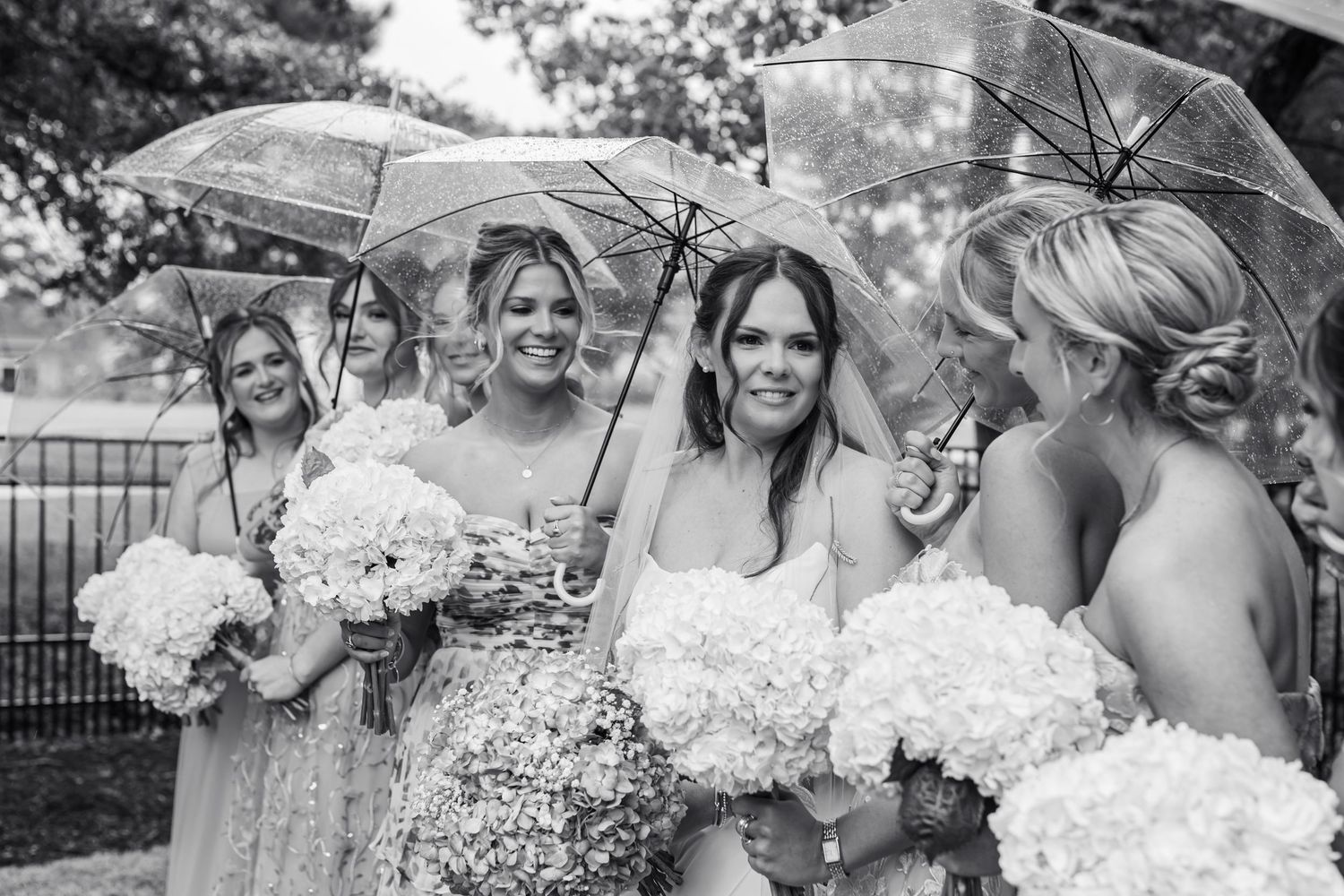 Bride and bridesmaids holding white hydrangea bouquets under clear umbrellas on a rainy wedding day.