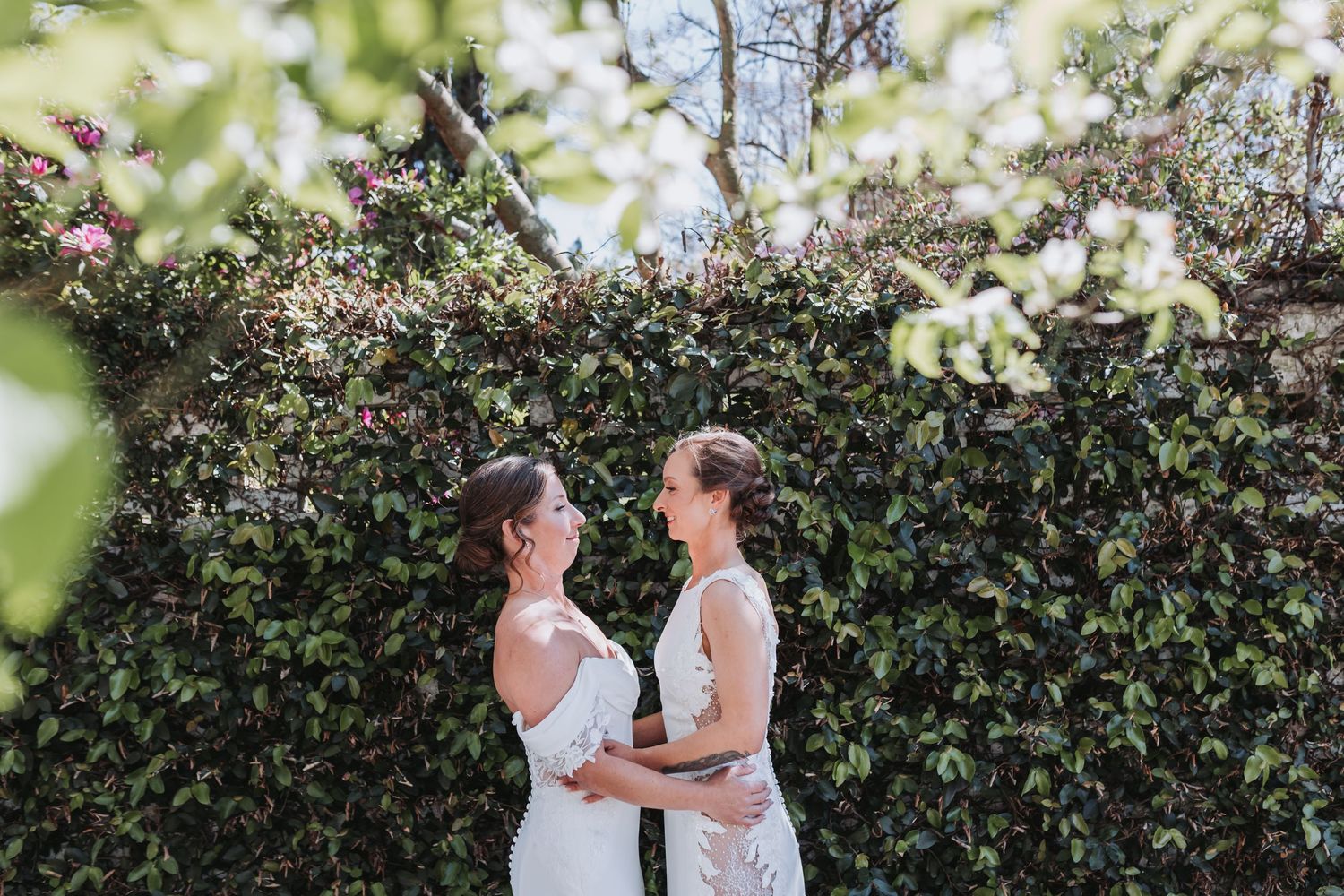 Two brides in white lace wedding gowns face each other smiling, framed by blooming flowers and green hedges.