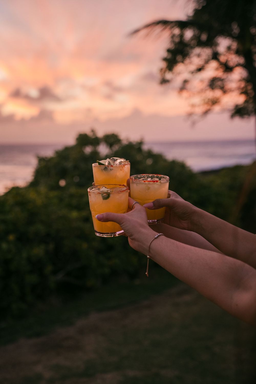 Hands holding three orange cocktails with salted rims at sunset, ocean and tropical trees in background.