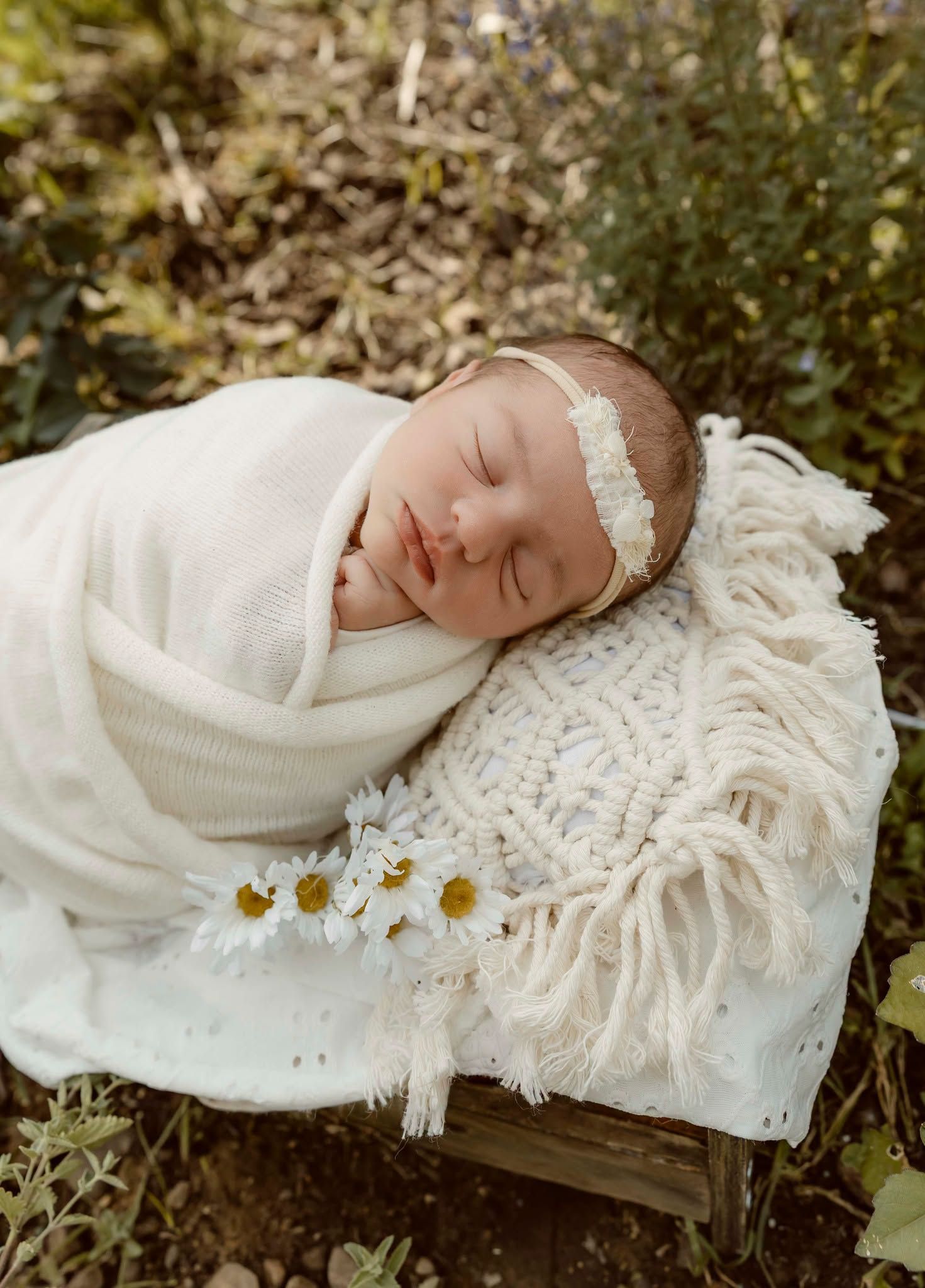 newborn photo