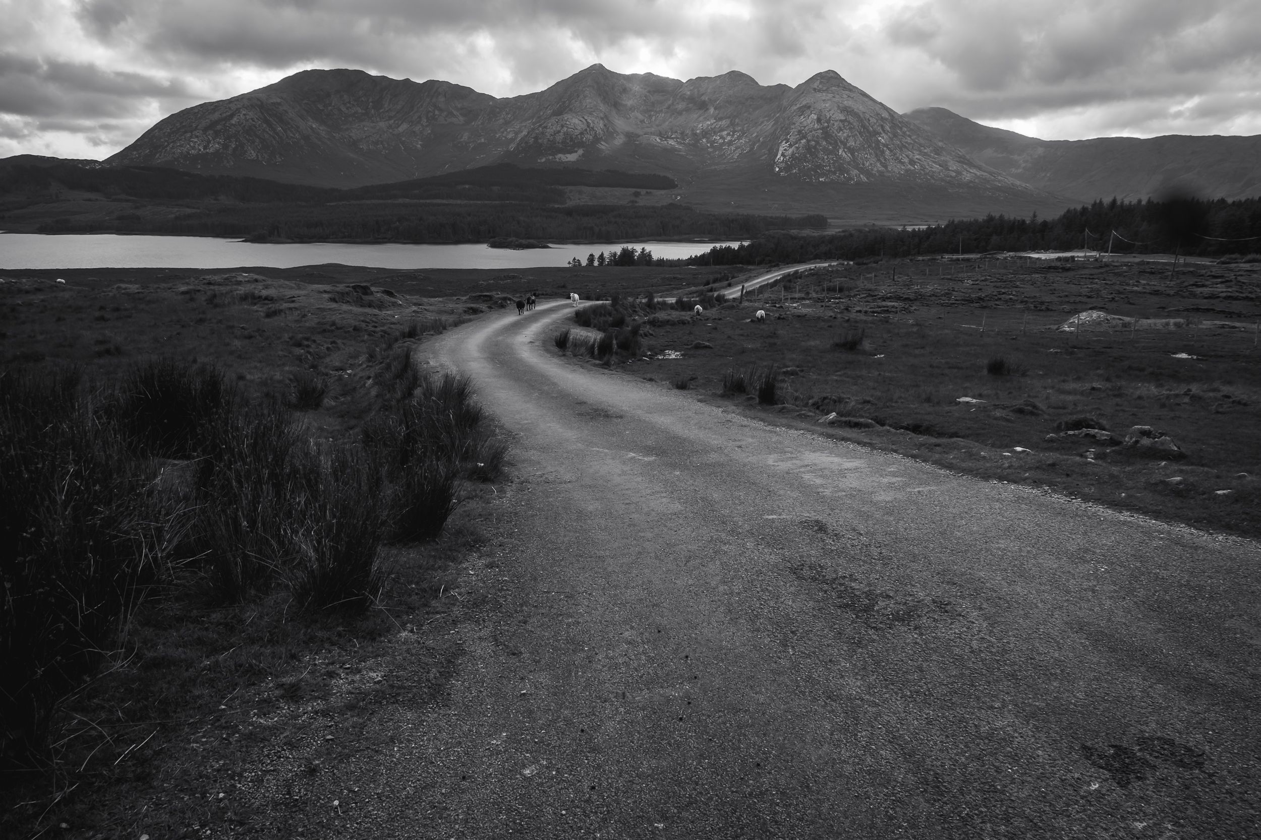 Strada sterrata di campagna verso le montagne Twelve Bens in Connemara, paesaggio in bianco e nero