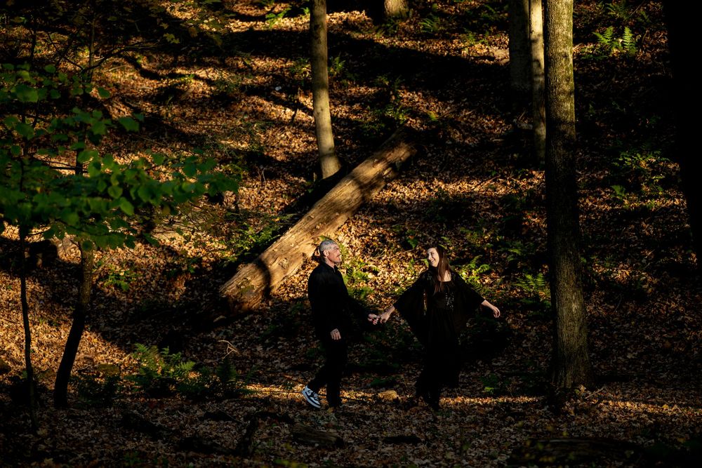 A couple in dark clothing walk hand in hand through a sunlit autumn forest scattered with fallen leaves and tall trees.