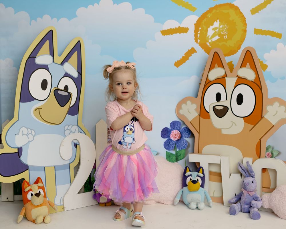 Colorful children's party setup with Bluey themed cardboard cutout characters and decorations against a blue sky backdrop.