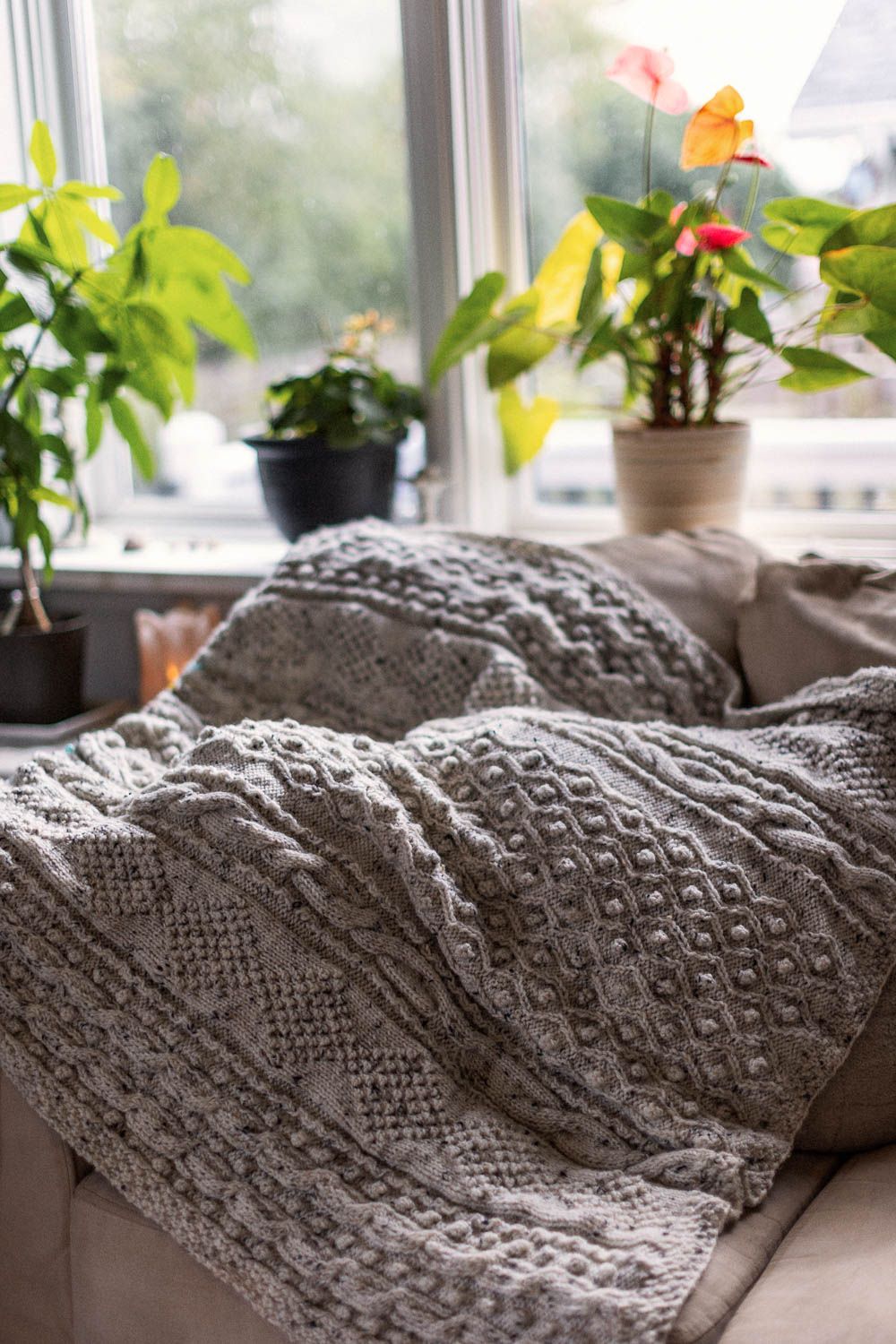 Cozy gray cable-knit throw blanket draped over a sofa near a sunlit window with lush green houseplants.
