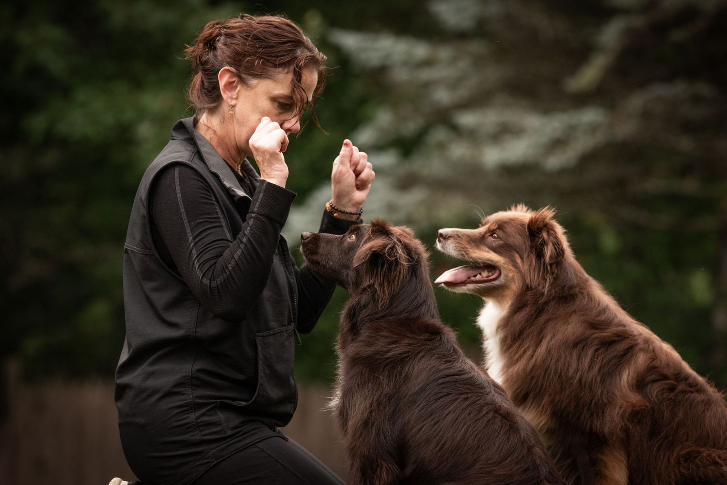 Woman sneezing into tissue while training two Australian Shepherd dogs outdoors.