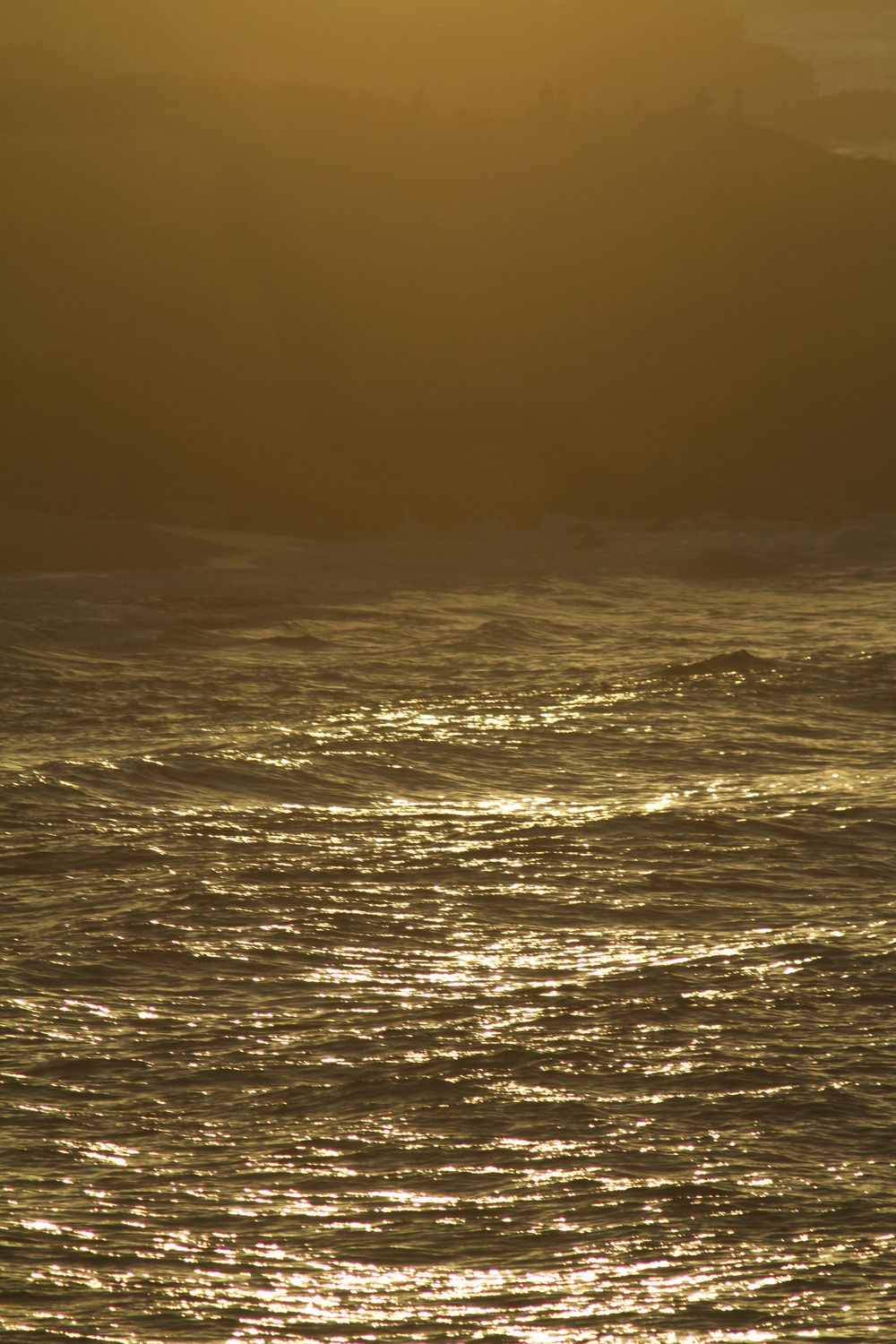 Surf branding photography, wellbeing and surfboard brands and photography