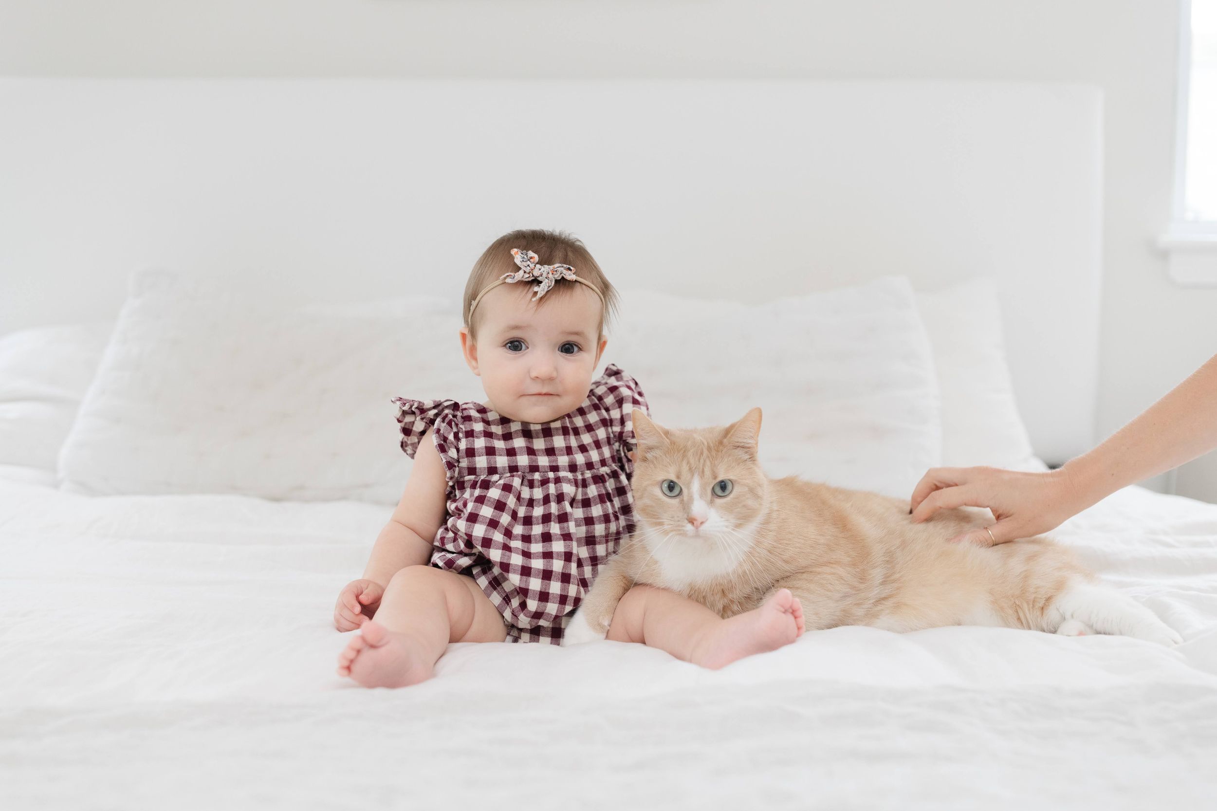 Baby girl in plaid romper sits on white bed beside an orange tabby cat with adult hand petting cat.
