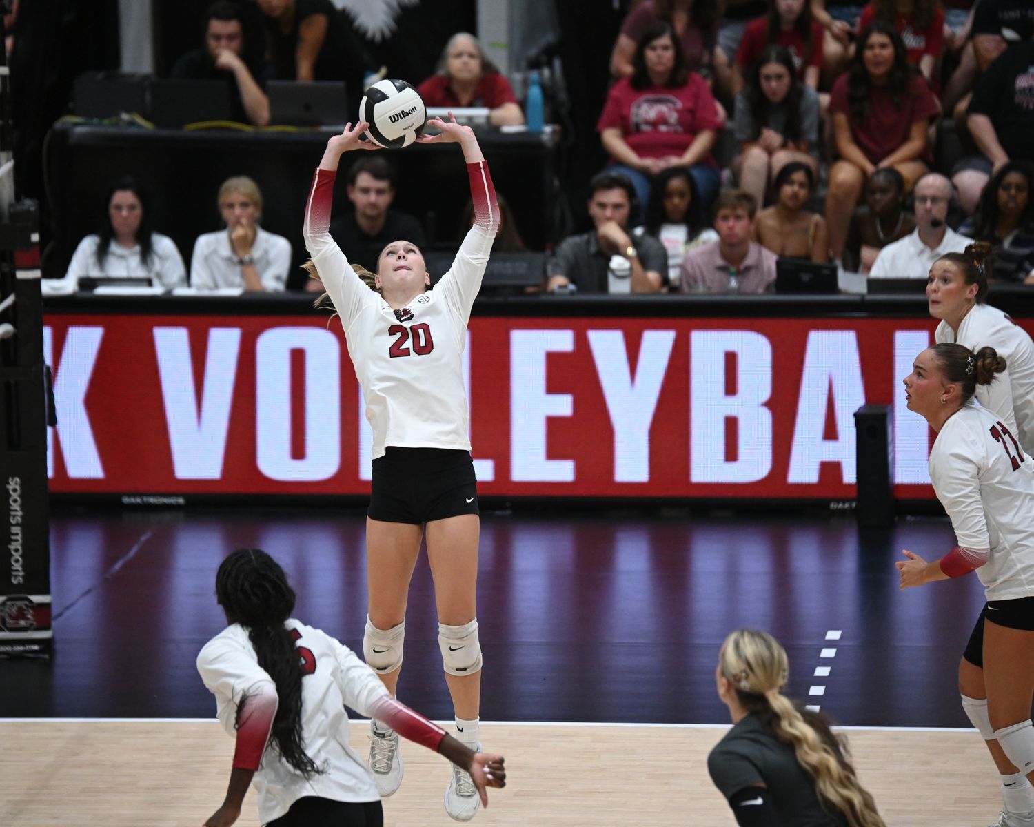 South Carolina volleyball setter wearing number 20 sets the ball during a rally.