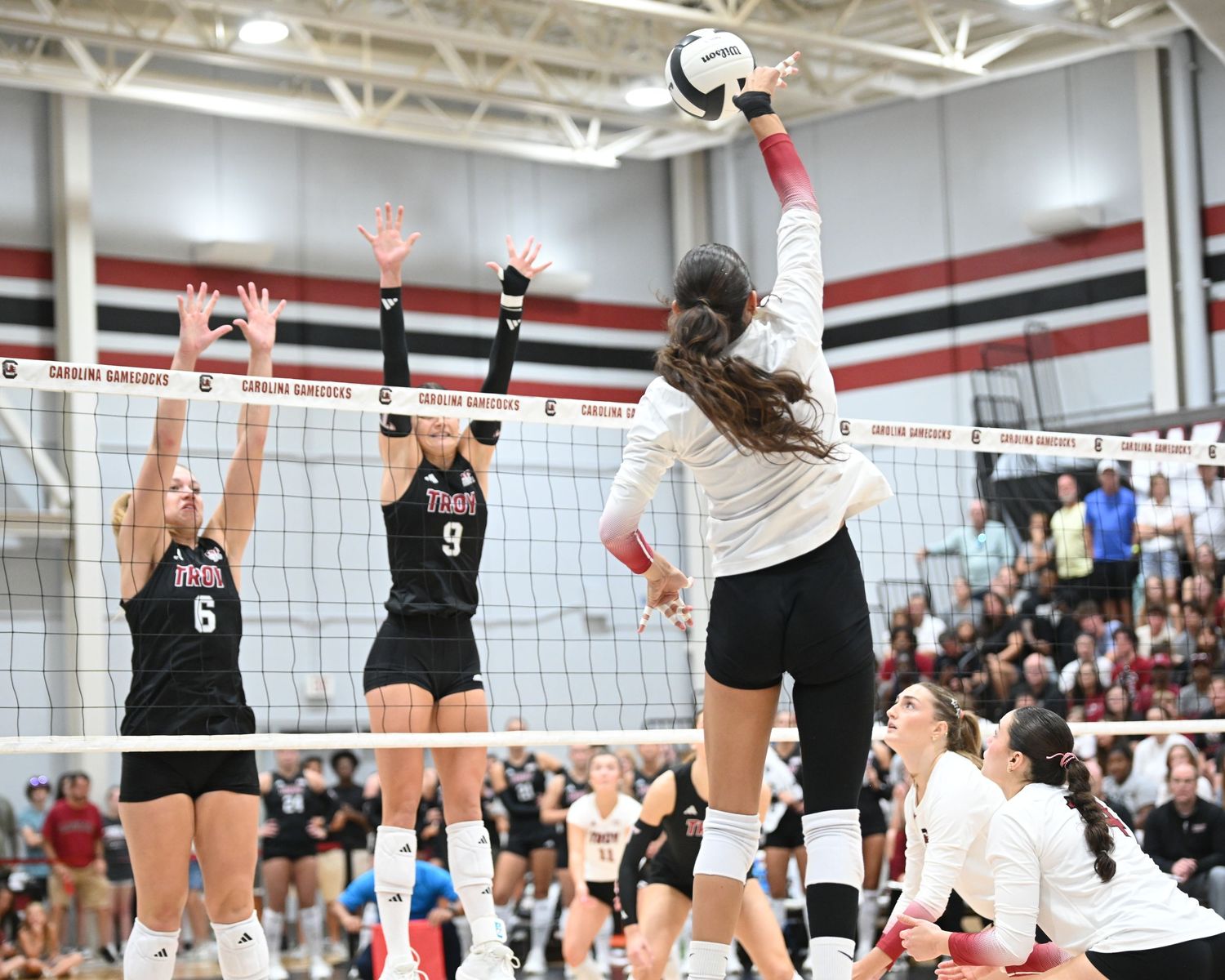 South Carolina volleyball attacker reaches above two blockers during a match.