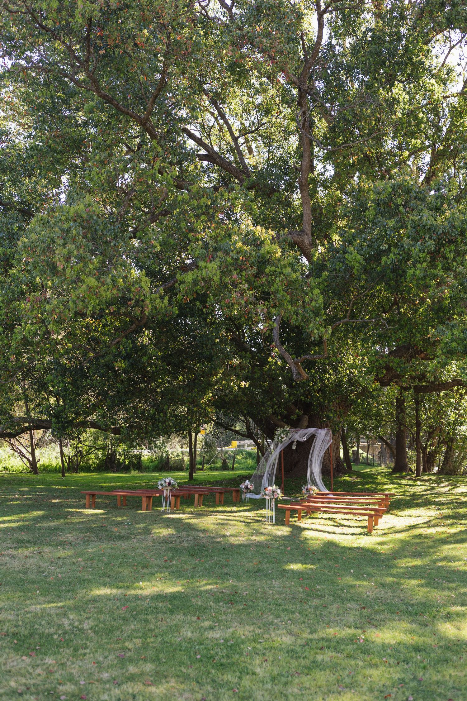 Kylie and Jono’s wedding ceremony beneath an oak tree at Moonan Cottage near Scone NSW