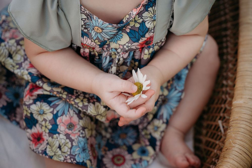 Laura O'Brien Photography
Madison, Wisconsin family and wedding photographer