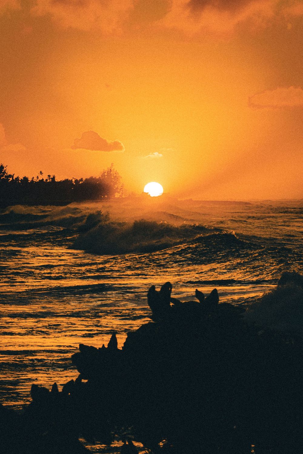 Dramatic golden sunset over crashing ocean waves with silhouetted figures on rocks.