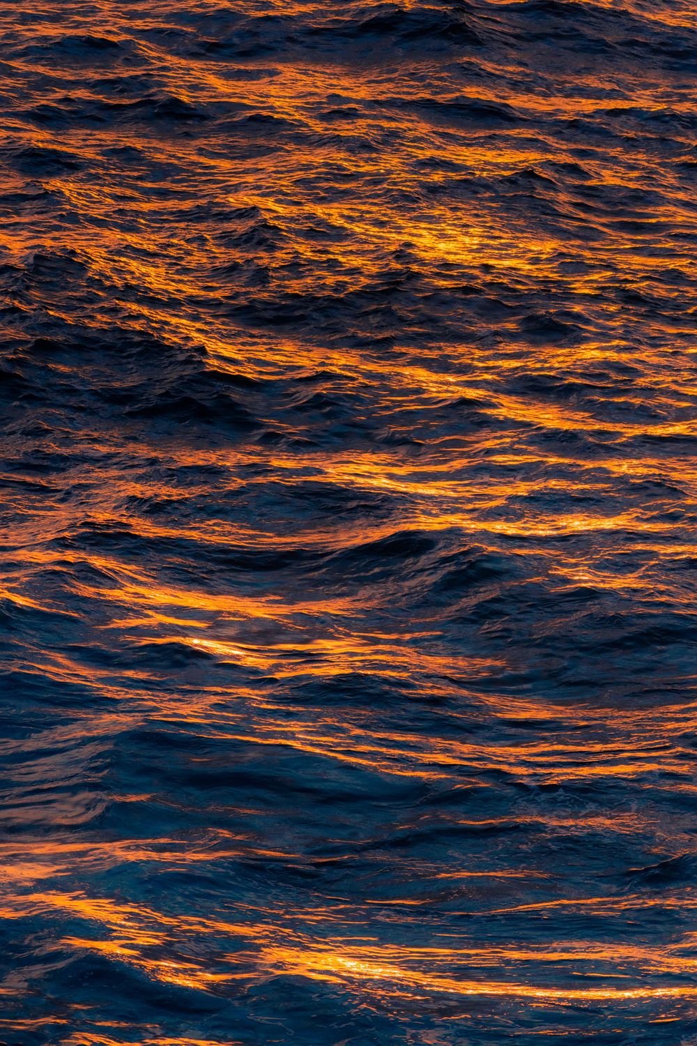 Dark ocean waves reflecting golden orange sunset light, creating a dramatic contrast of deep blue and warm hues.