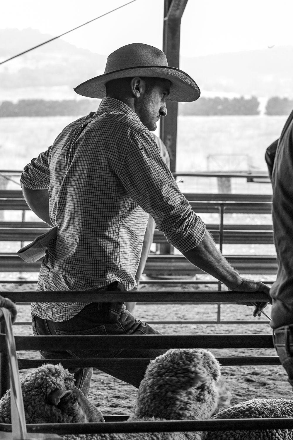 Black and white portrait of a merino sheep farmer in the yards. Man wearing an akubra hat, check shirt and jeans. Em Callaghan photo image.