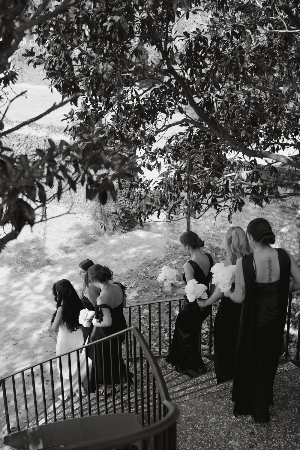 Bridesmaids in black gowns holding white bouquets descend outdoor stairs beneath a large tree in black and white photo.