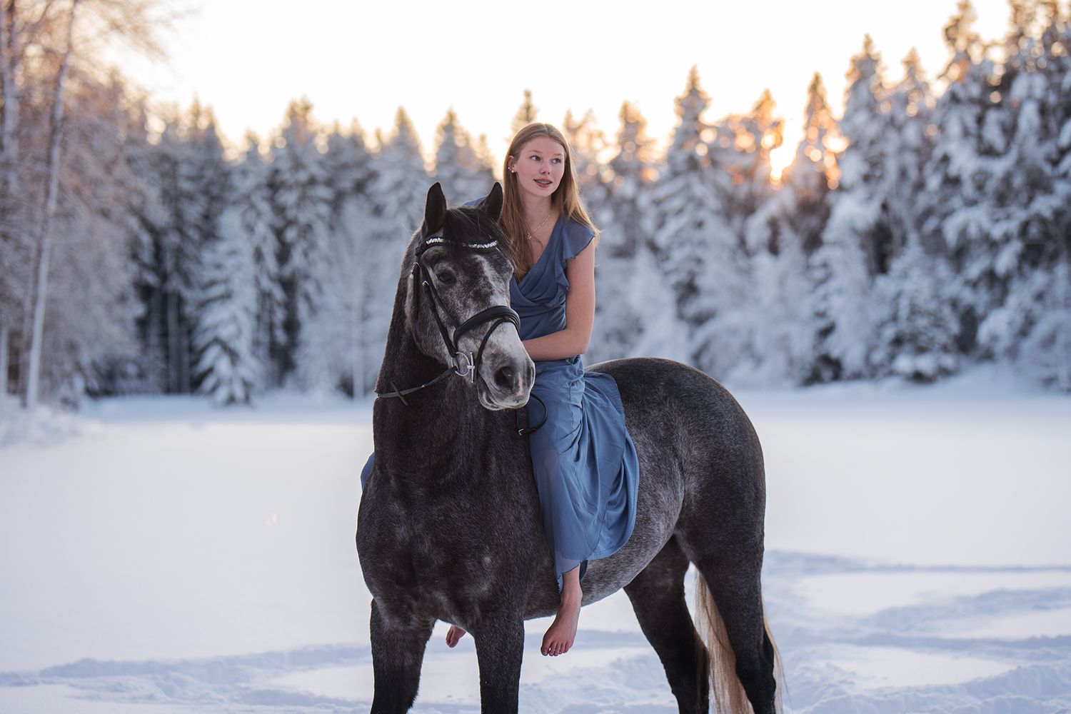 Sunset, Horse, dress