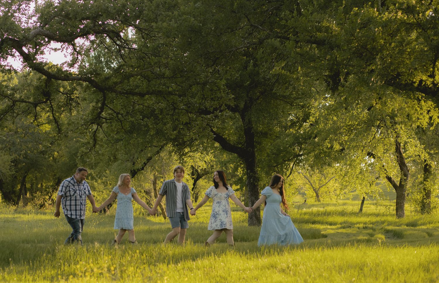 Large family group holding hands walking through a sunlit orchard with golden green grass.
