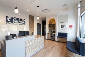 Corporate branding photography Westchester, NY