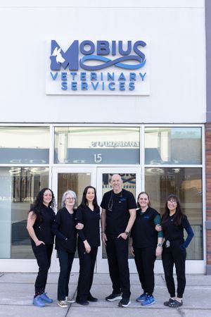 Personal branding photographer Westchester