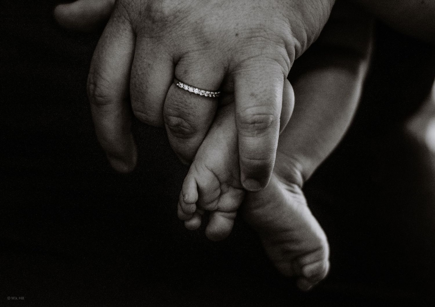 Black and white image of adult hand gently holding infant's tiny foot.