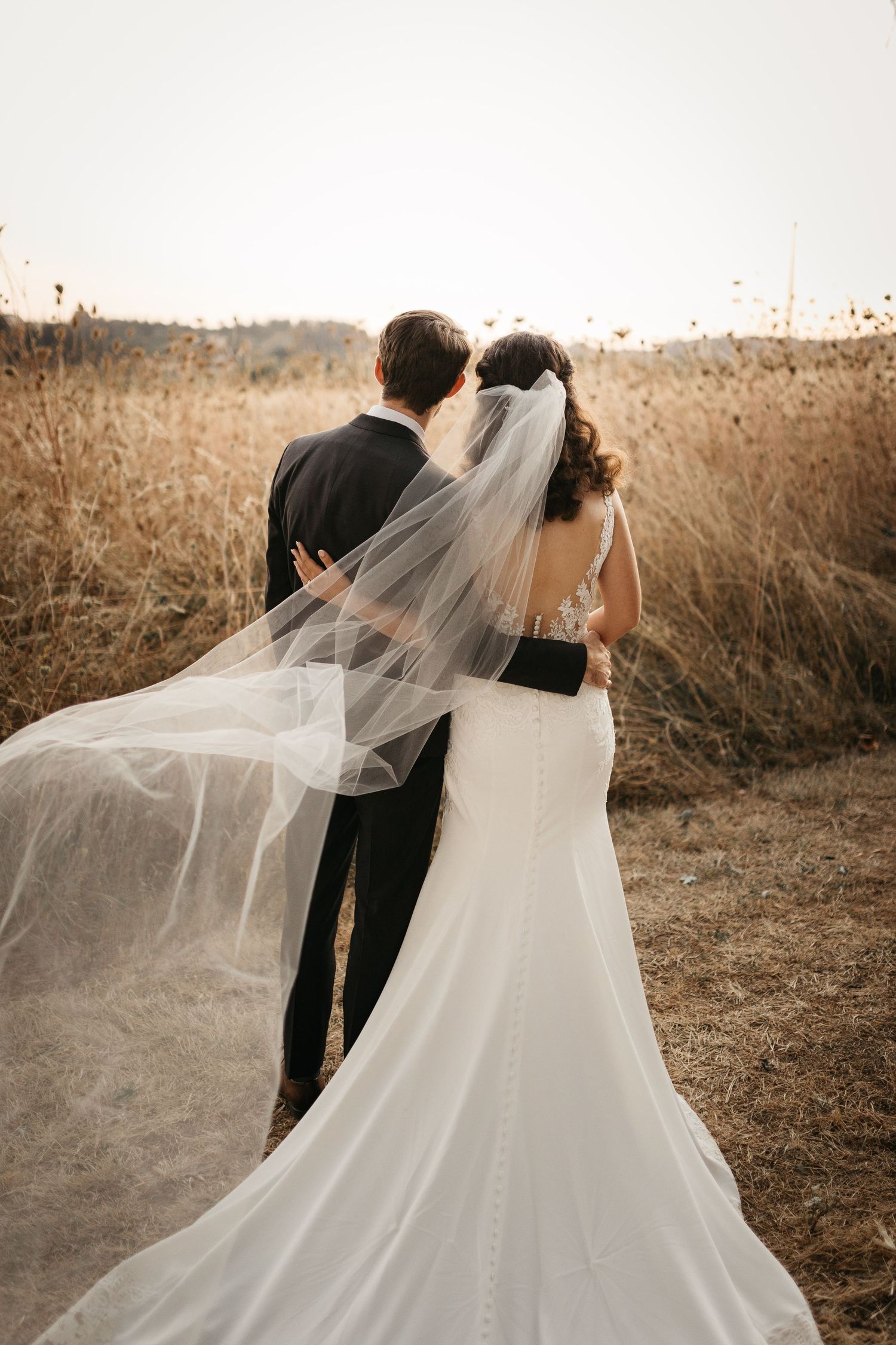 A bride and groom share an intimate moment in a golden field with her veil flowing in the breeze at the water oasis in Newberg, Oregon.