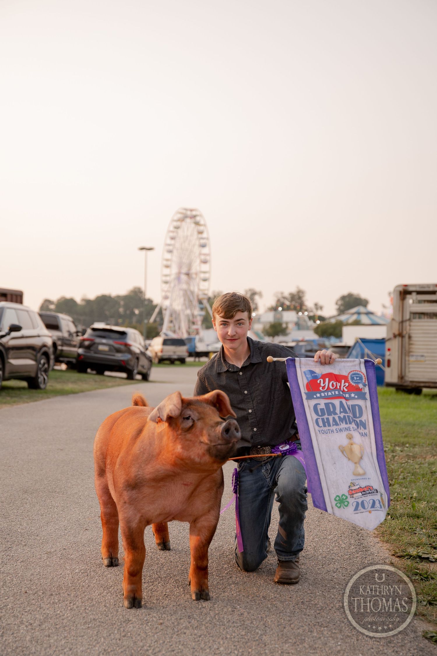 Show animal being presented with award banner at county fair with ferris wheel in background.