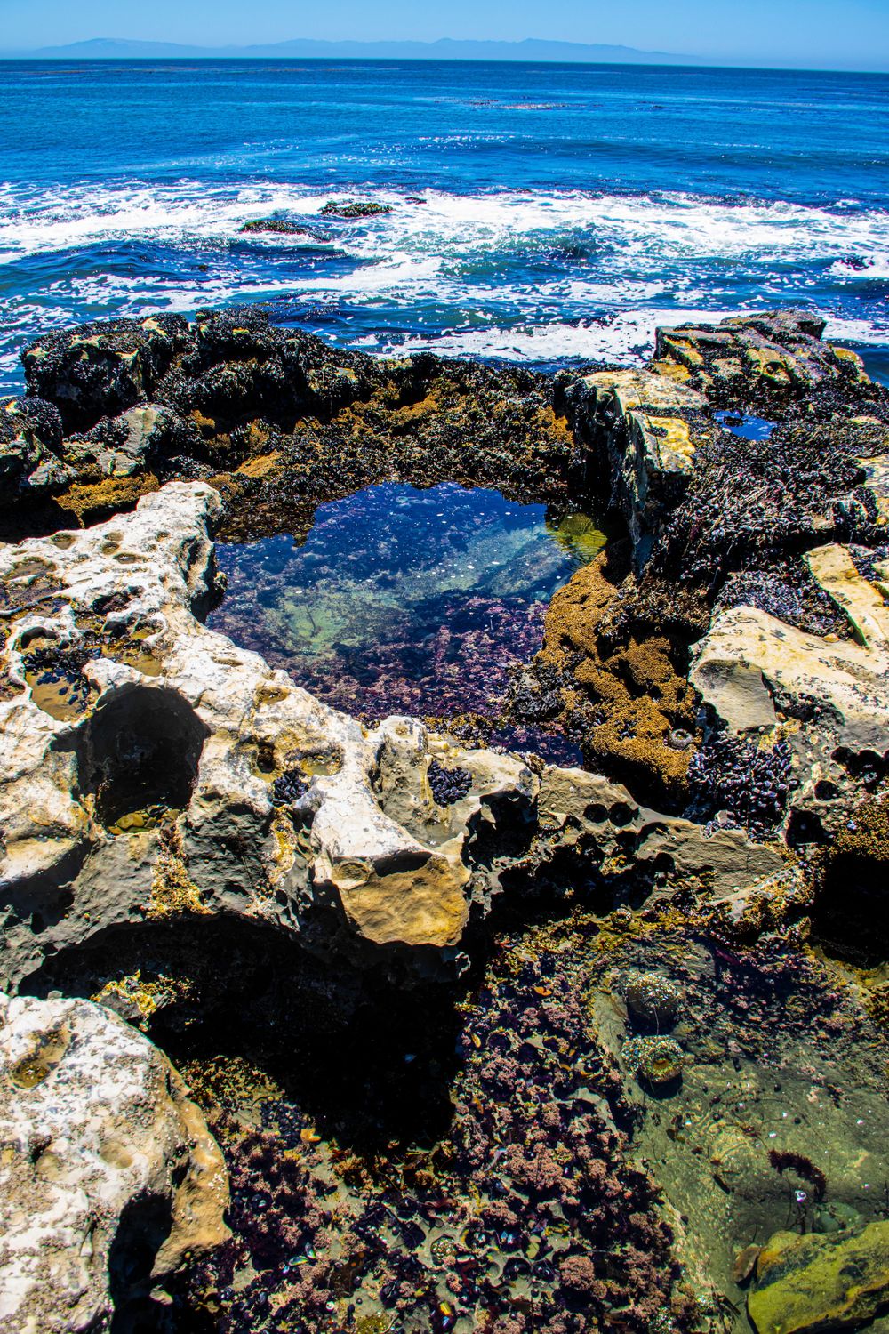 Rocky tide pool with crashing waves and blue ocean in the background on a sunny day.