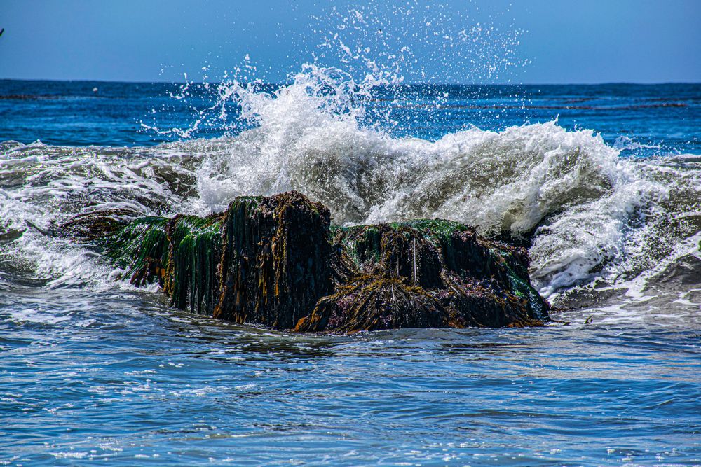 Dramatic ocean wave splashing against moss-covered rocks with water spray in the air.