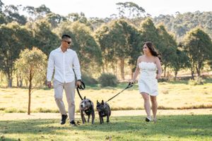 An elopement photoshoot with two dogs a frenchie and a american bulldog in western sydney parklands