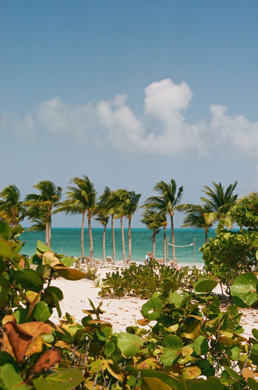 Palm trees sway over a white sand beach with crystal clear turquoise waters in the distance.