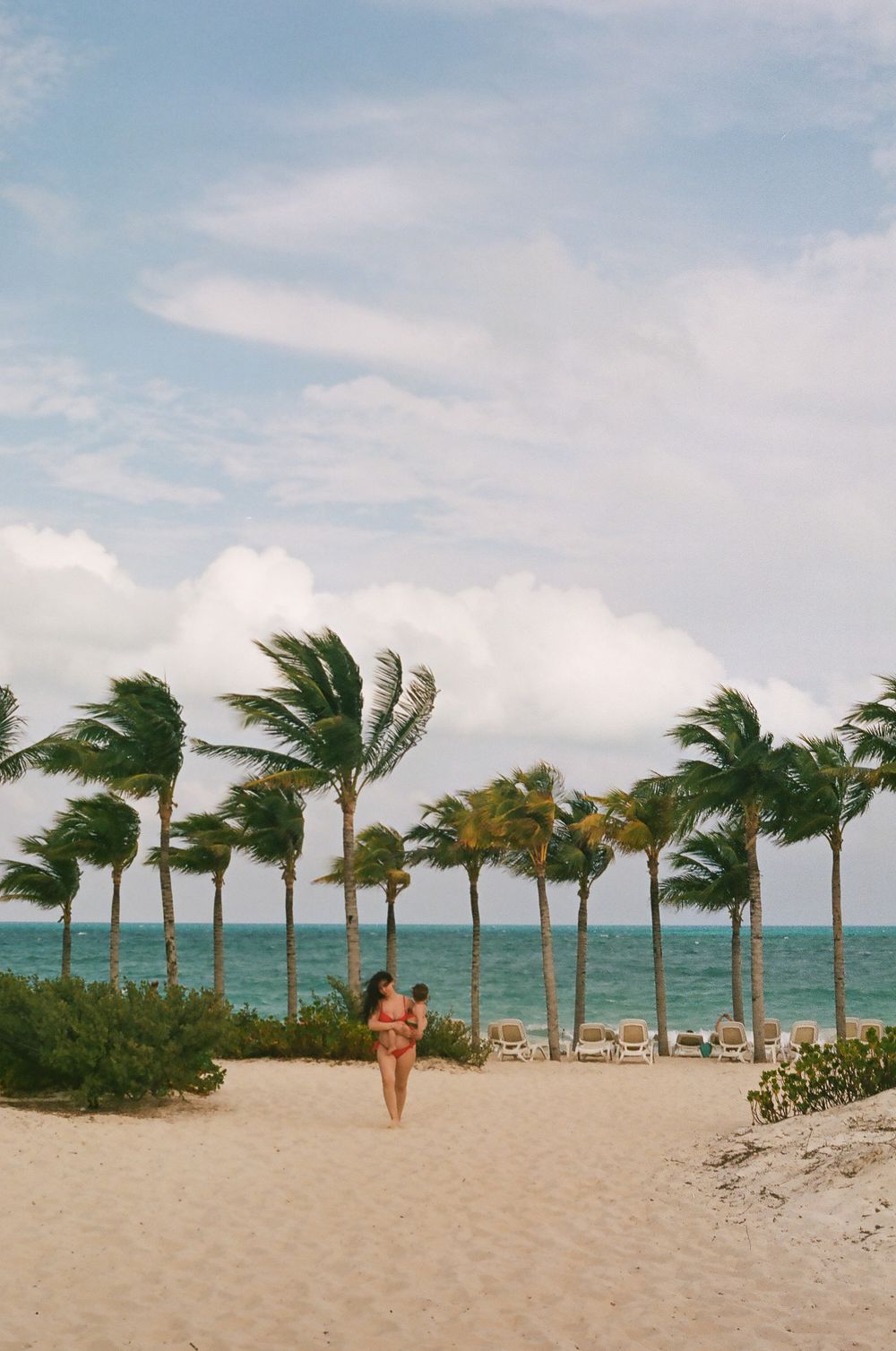 Palm trees sway in the wind along a pristine white sand beach with clear blue waters.
