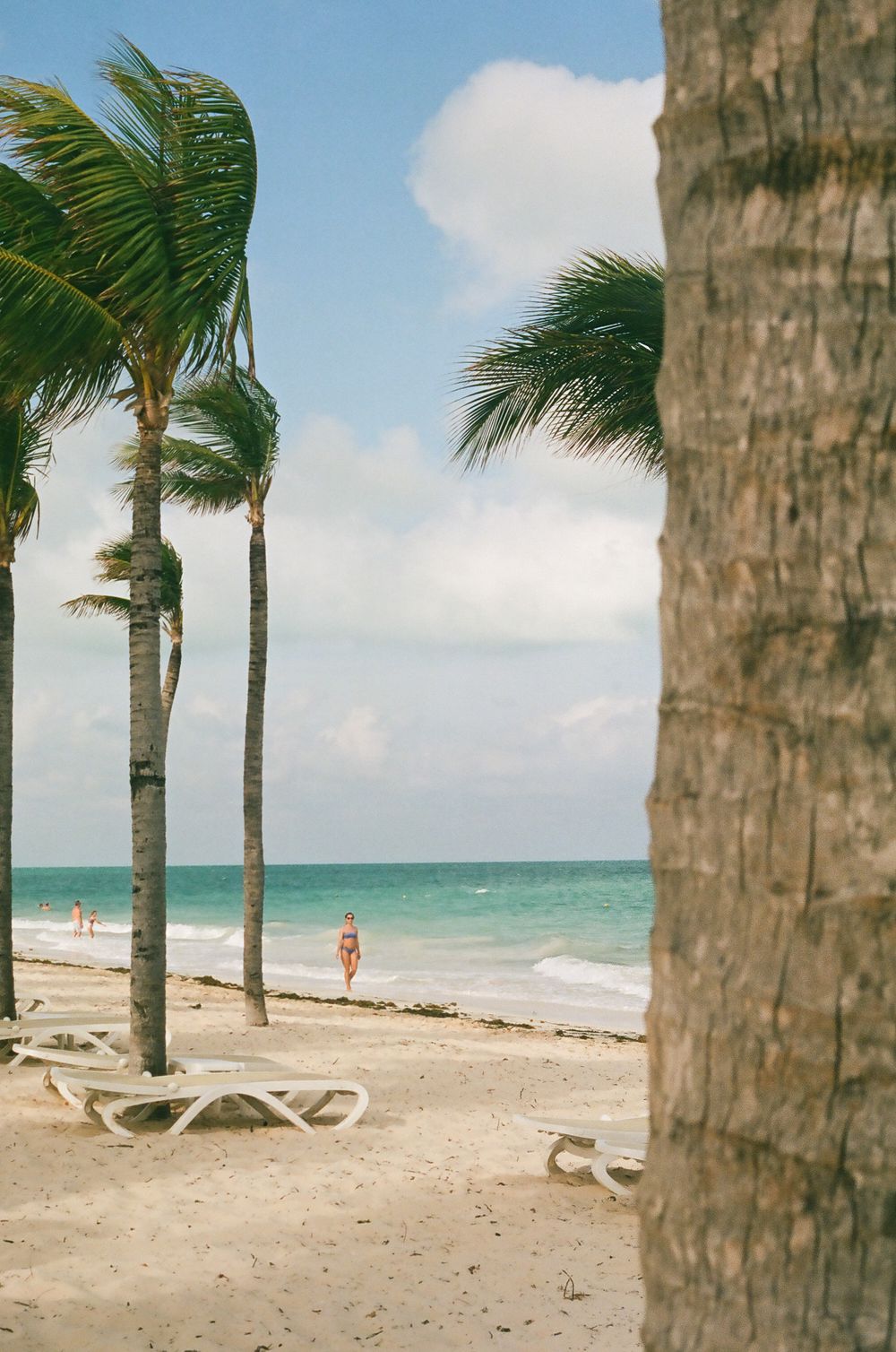 Palm trees line a sandy beach with lounge chairs and turquoise waters in the background.