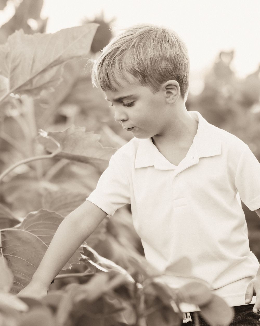 Black and white artistic collection of photos showing moments with beautiful evening sunlight.