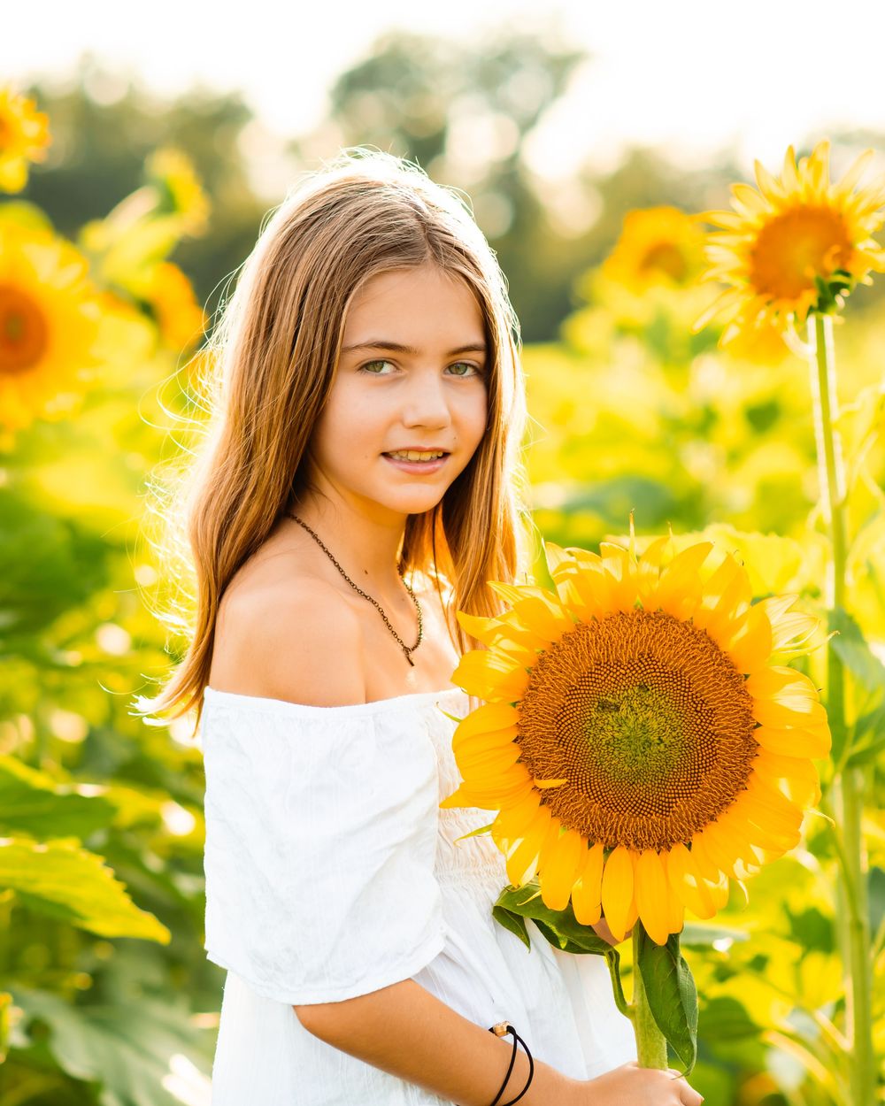 A bright sunflower field at sunset creates a dreamy backdrop for a summer portrait in a white dress.