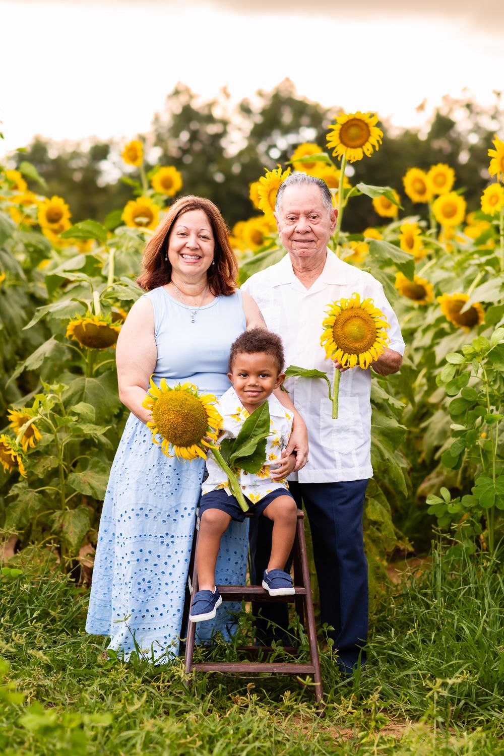A group enjoys a summer evening together in a bright sunflower field with a rustic wooden bench.