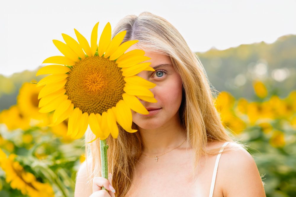 Young blonde woman holding a bright yellow sunflower over her face in a sunflower field.