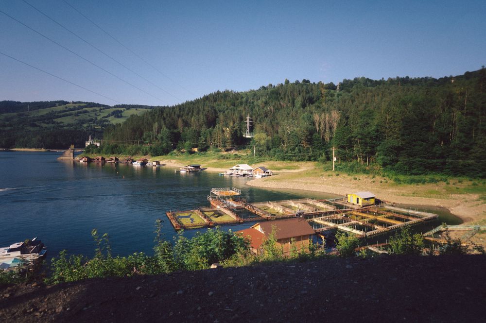 Scenic lakeside view with docks and boats nestled among forested hills.