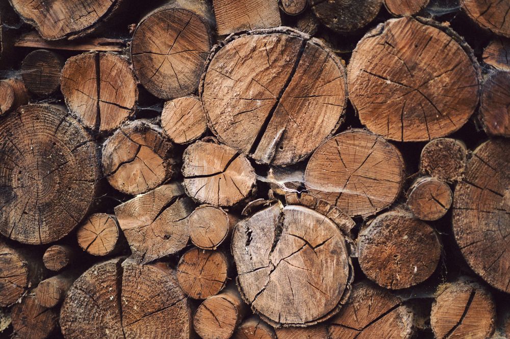 Close-up view of stacked firewood logs showing circular cut ends with natural wood grain patterns and textures.