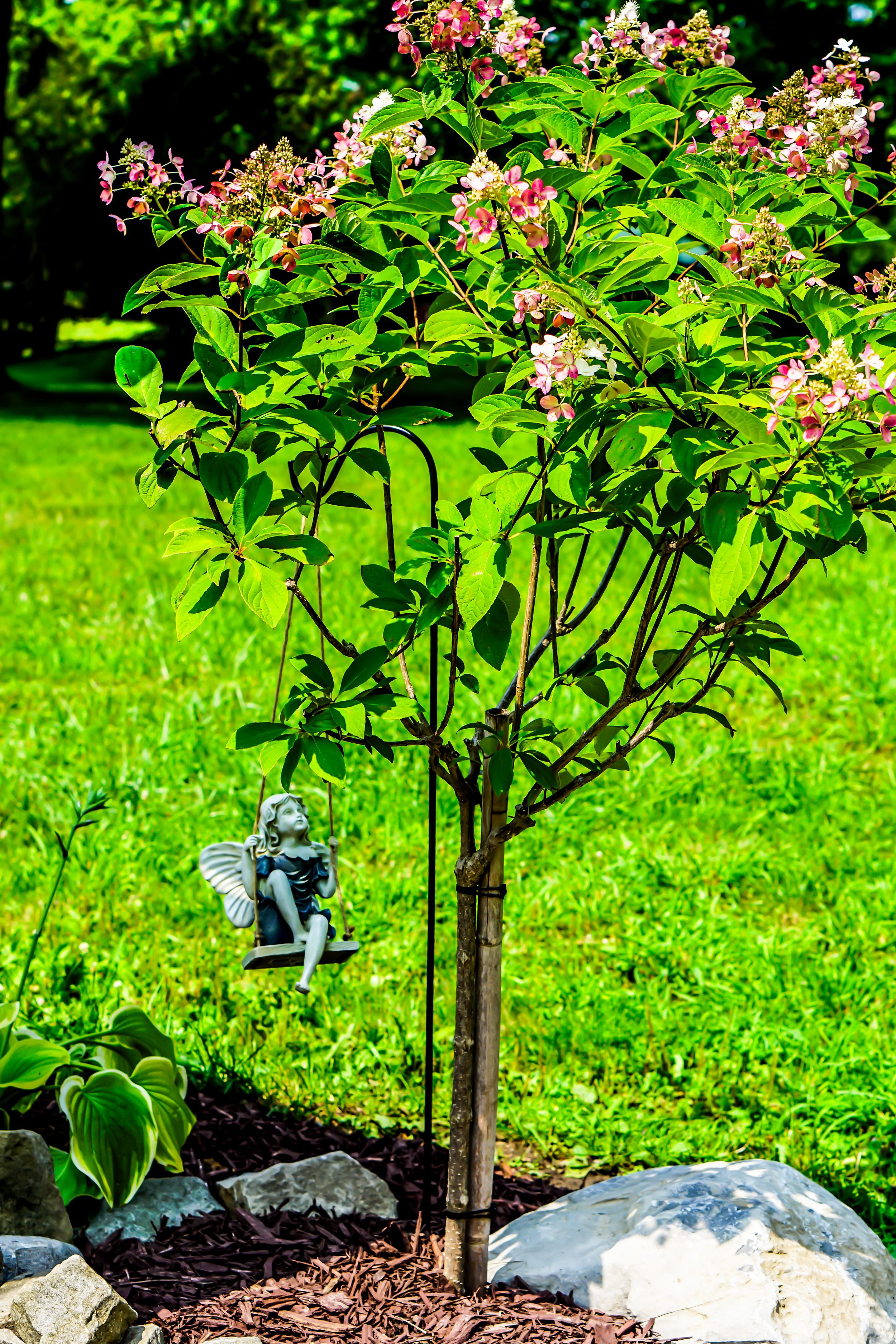 A small decorative garden gnome sits beneath a flowering tree with pink blooms.