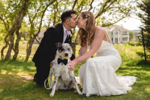 Couple in wedding attire poses with their dog wearing a bowtie in a sunny garden setting.