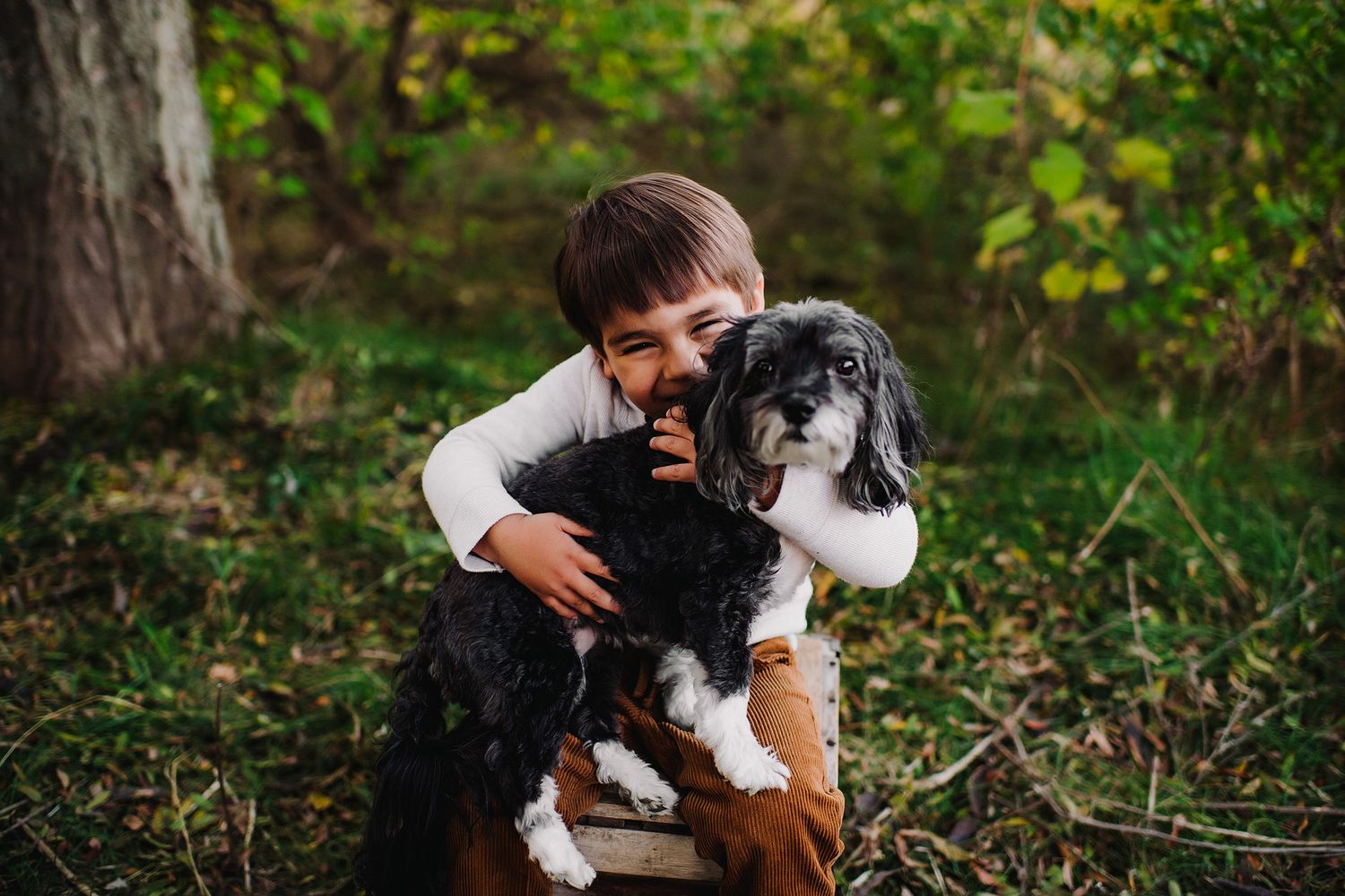 Ann Arbor Family Photographer