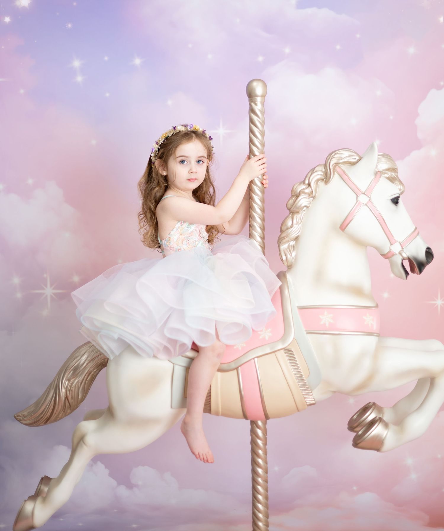 Carousel horse sessions. Fine art photography