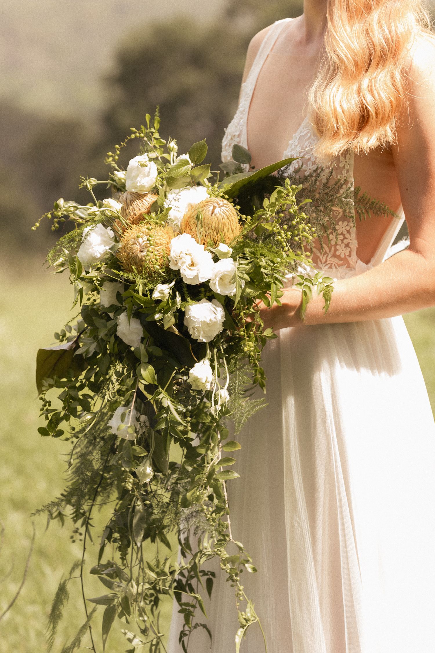 A cascading bridal bouquet with white roses and greenery in natural sunlight. Maleny Wedding Venue Sunshine Coast.