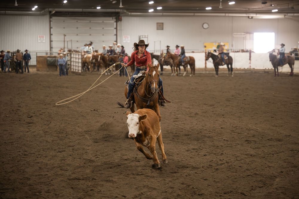 Team roping competitors work together to lasso a calf during a western rodeo competition in an indoor arena.