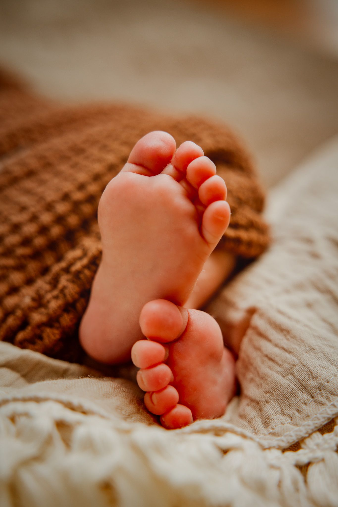 newborn shooting Hamburg fotoshooting für babys  babyshooting  neugeborenen shooting  newborn shooting in der nähe