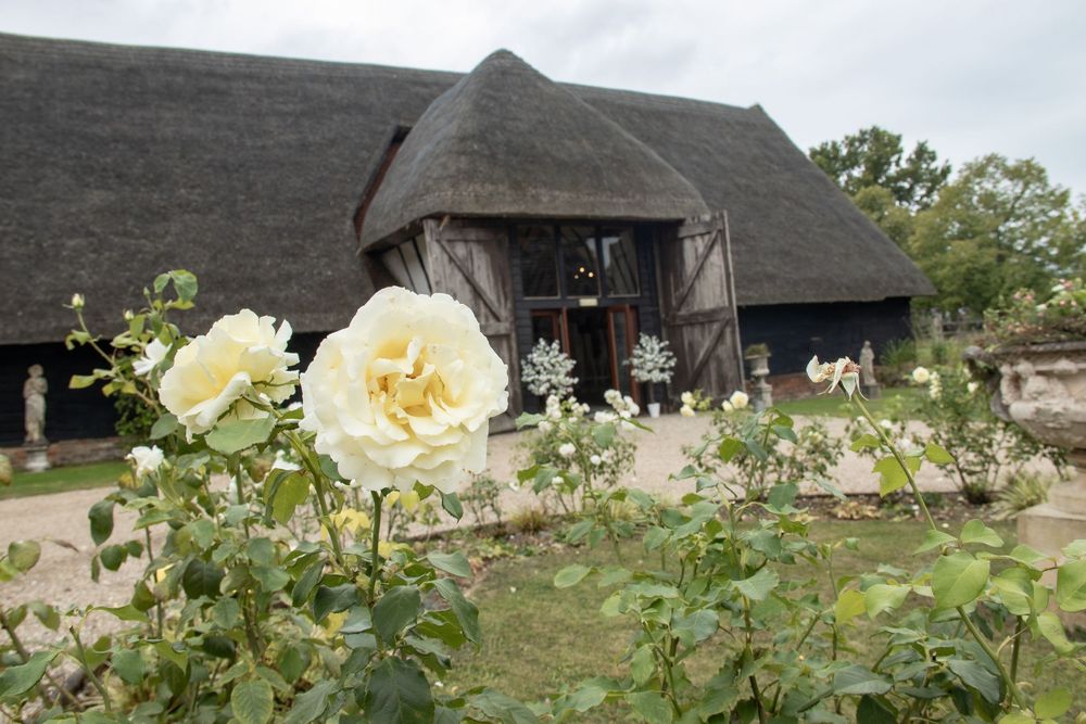 Rustic barn venue with roses blooming in the foreground.