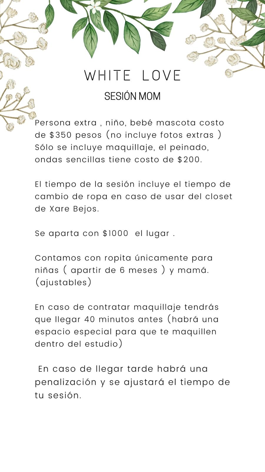 Photography session details and policies document with decorative botanical border.