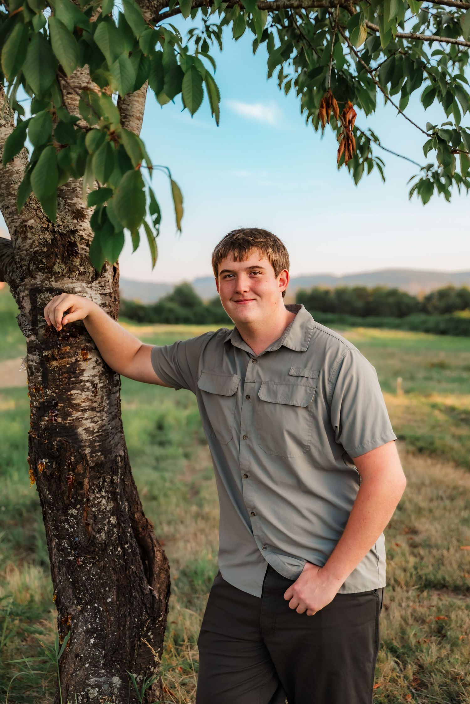 senior guy leans against tree backed by soft summer glow of skagit county